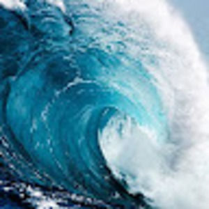 Meet your Posher, Eluna